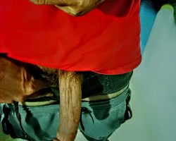 Swinger Hotwife Cuckold Daytona Beach - Woodylongwood9inMW