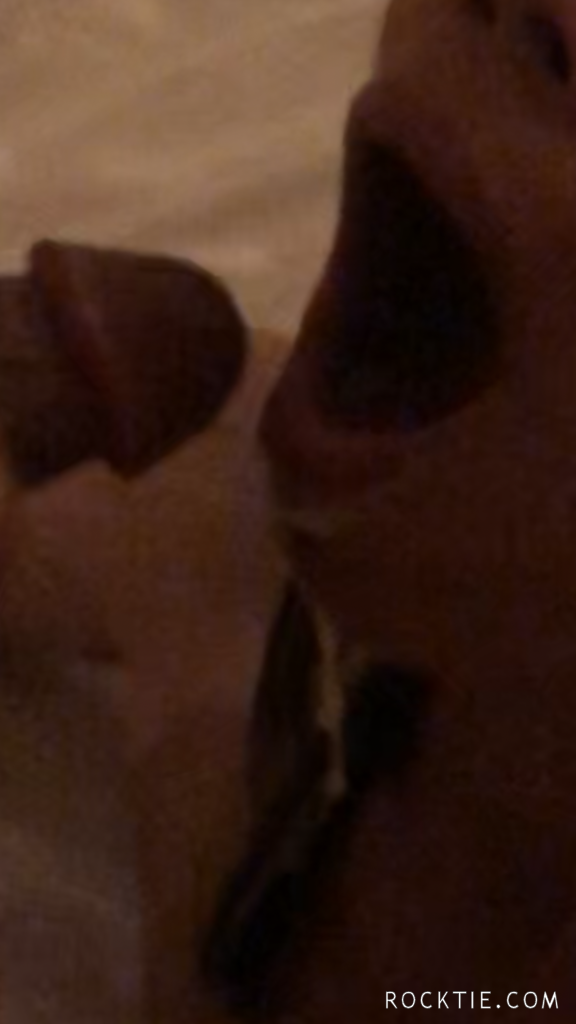 Swingers Hotwife Cuckold Sacramento - moandthaiho