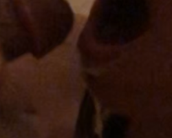 Swinger Hotwife Cuckold Sacramento - moandthaiho