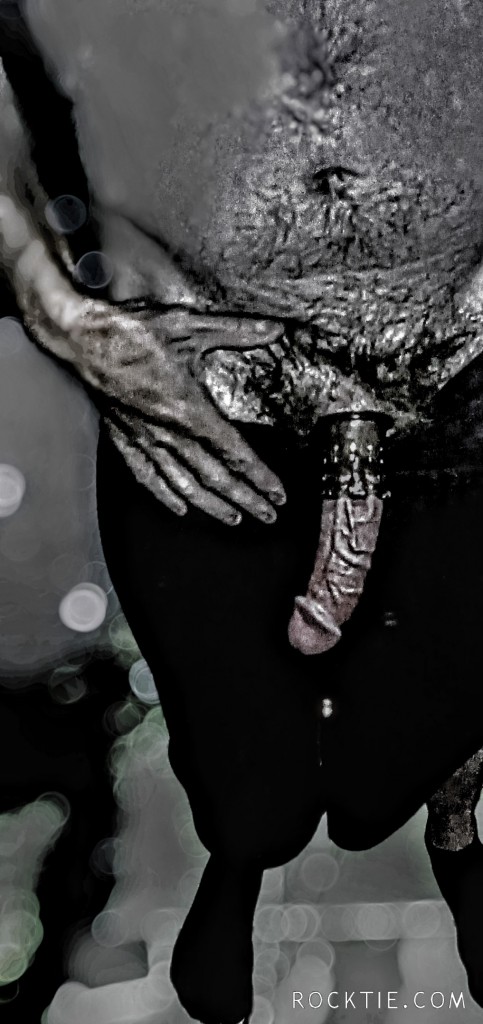 Swingers Hotwife Cuckold Daytona Beach - Woodylongwood9inMW