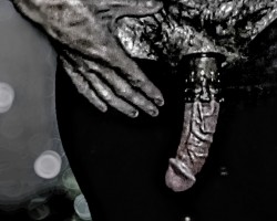 Swinger Hotwife Cuckold Daytona Beach - Woodylongwood9inMW