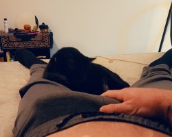 Swinger Hotwife Cuckold Portland - Aesh