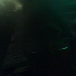 Swinger Hotwife Cuckold Stockton-Modesto, California
