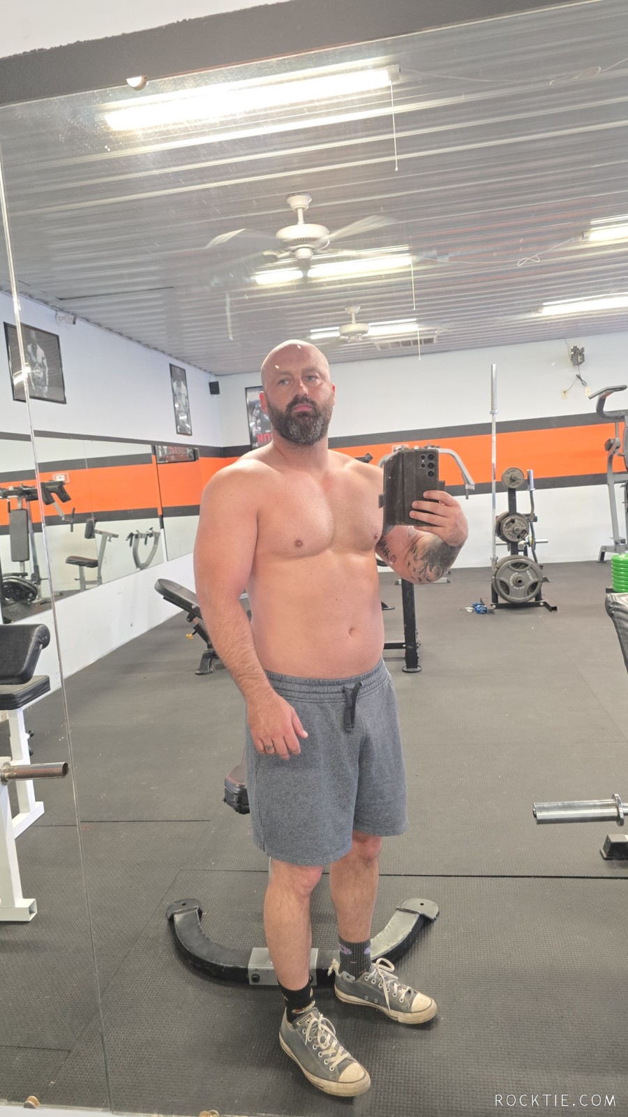 Bull looking for fun