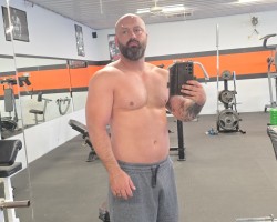 Bull looking for fun