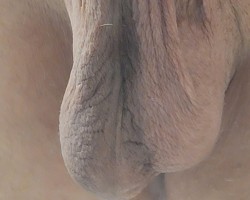 Swinger Hotwife Cuckold Phoenix - Middleman696