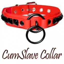 CumSlave Collar