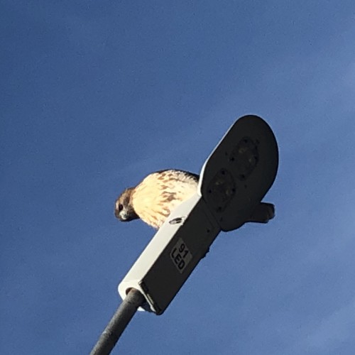 MeHerHimThem: Swingers Hotwife Cuckold