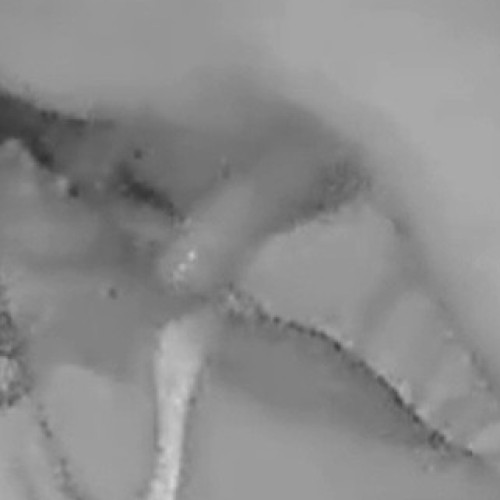 down2f: Swingers Hotwife Cuckold