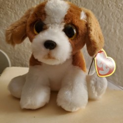 Hova4050: Swingers Hotwife Cuckold