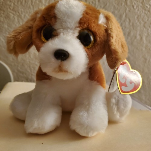 Hova4050: Swingers Hotwife Cuckold