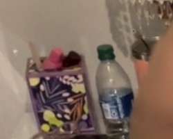 Swinger Hotwife Cuckold User