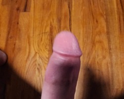  - Busternviolet Photo