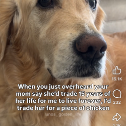 Brotherjames1972: Swingers Hotwife Cuckold