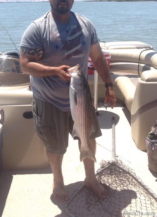 Swingers Hotwife Cuckold Sacramento - Naughtylatinos