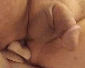 User member profile in ,