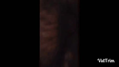wife loves being shared