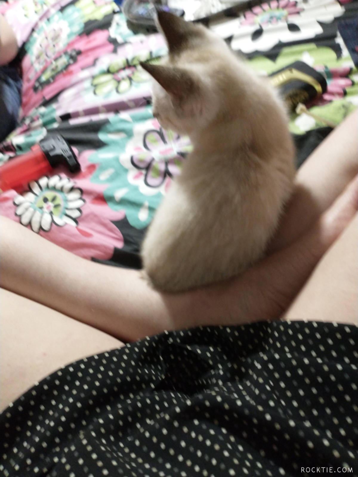 Swingers Hotwife Cuckold Rome - Sxylily11