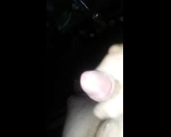 20180501_030941 (1)