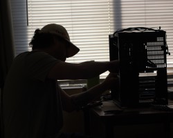 New Here, Los Angeles/OC *Downey*