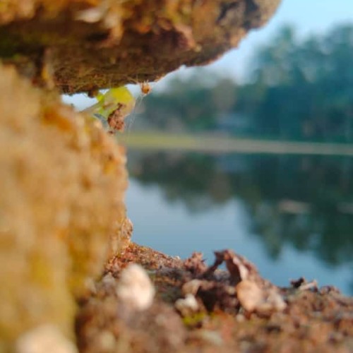 rocky66888: Swingers Hotwife Cuckold