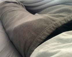 m4f m4mf : horny single guy open to females and couples