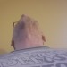 Montreal swinger hotwife & cuckold profile – Deler007 on Rocktie