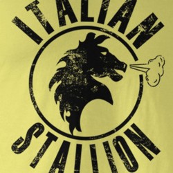 Los Angeles swinger hotwife & cuckold profile – ItalianStallion949 on Rocktie