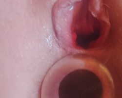 Swinger Hotwife Cuckold Portland - tarzanjane