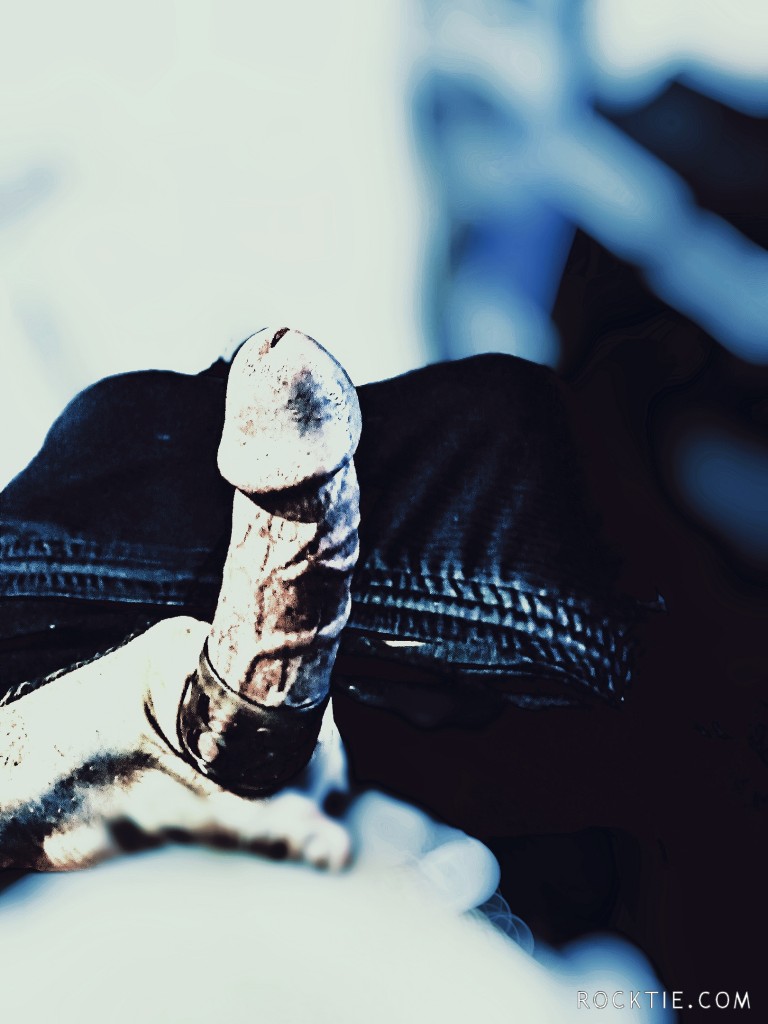 Swingers Hotwife Cuckold Daytona Beach - Woodylongwood9inMW