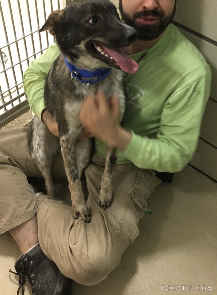 Swingers Hotwife Cuckold Milwaukee - CastorB4Riverlands