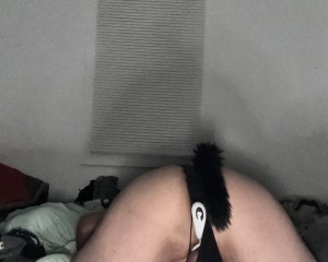 Here2beused6978 member profile in Jacksonville, Florida