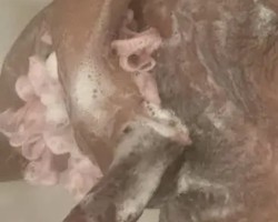 Swinger Hotwife Cuckold User