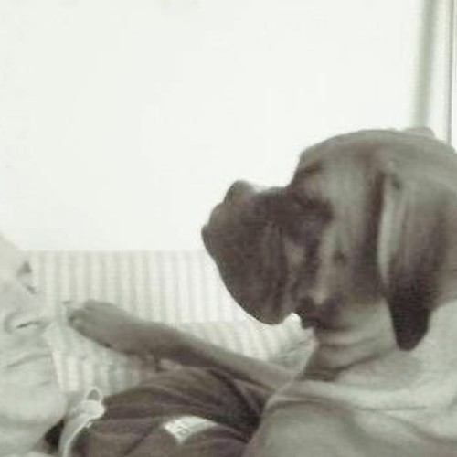 all4play: Swingers Hotwife Cuckold