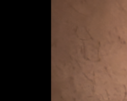 Swinger Hotwife Cuckold User