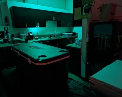  - clubsafeword Photo