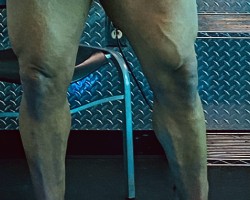  - RunningBare Photo