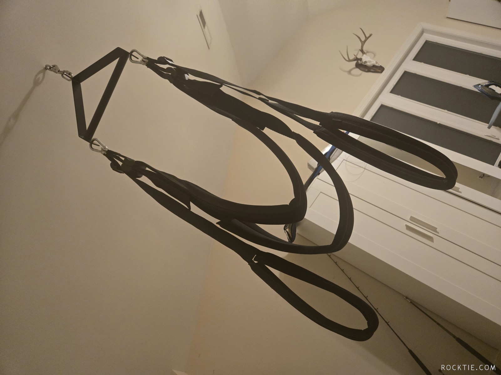 Swingers Hotwife Cuckold Virginia Beach - Maltese757