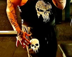 Mature muscular straight bull