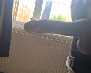 Hung mxdrace in London looking for couples and women for real fun
