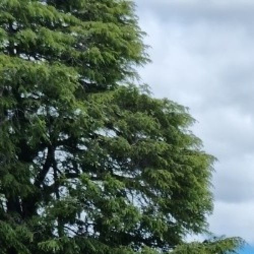 StevenE: Swingers Hotwife Cuckold