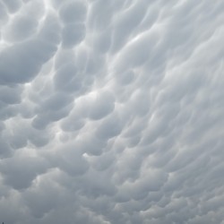 Pareja1978: Swingers Hotwife Cuckold