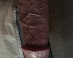 Swinger Hotwife Cuckold DFW - nowandlaters