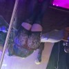 Little Rock swinger hotwife & cuckold profile – ynotstreachme on Rocktie