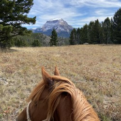 Bozeman swinger hotwife & cuckold profile – Topher406 on Rocktie