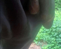 Swinger Hotwife Cuckold Austin - Klevis8