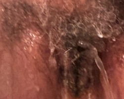 Swinger Hotwife Cuckold User