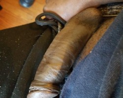 Swinger Hotwife Cuckold Alexandria - LDlouis66