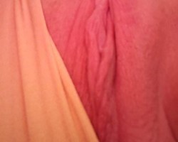  - Rtrttrrt Photo