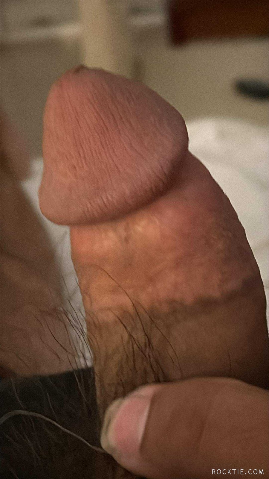 Swingers Hotwife Cuckold Toronto - Aboikoff